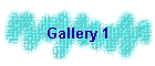 Gallery 1