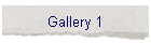 Gallery 1