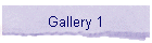 Gallery 1